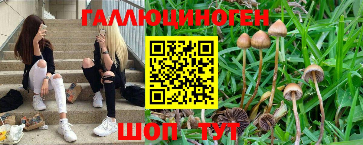 Вышний Волочёк  Псилоцибиновые грибы ЛСД  закладки  Вход с VPN 