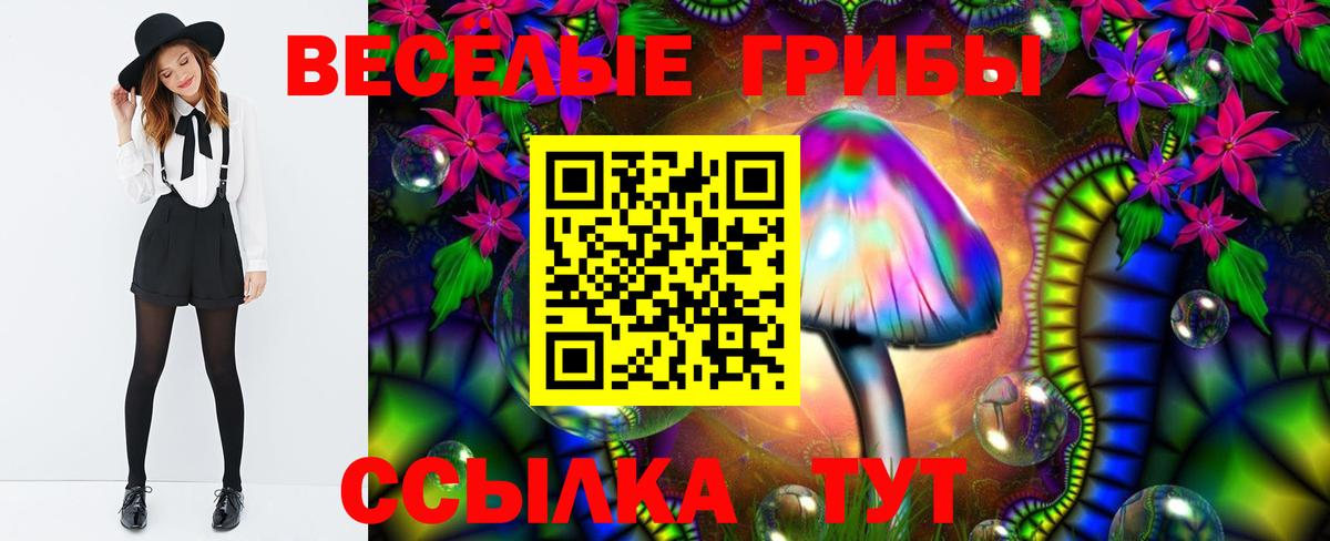Псилоцибиновые грибы Psilocybine cubensis Вышний Волочёк